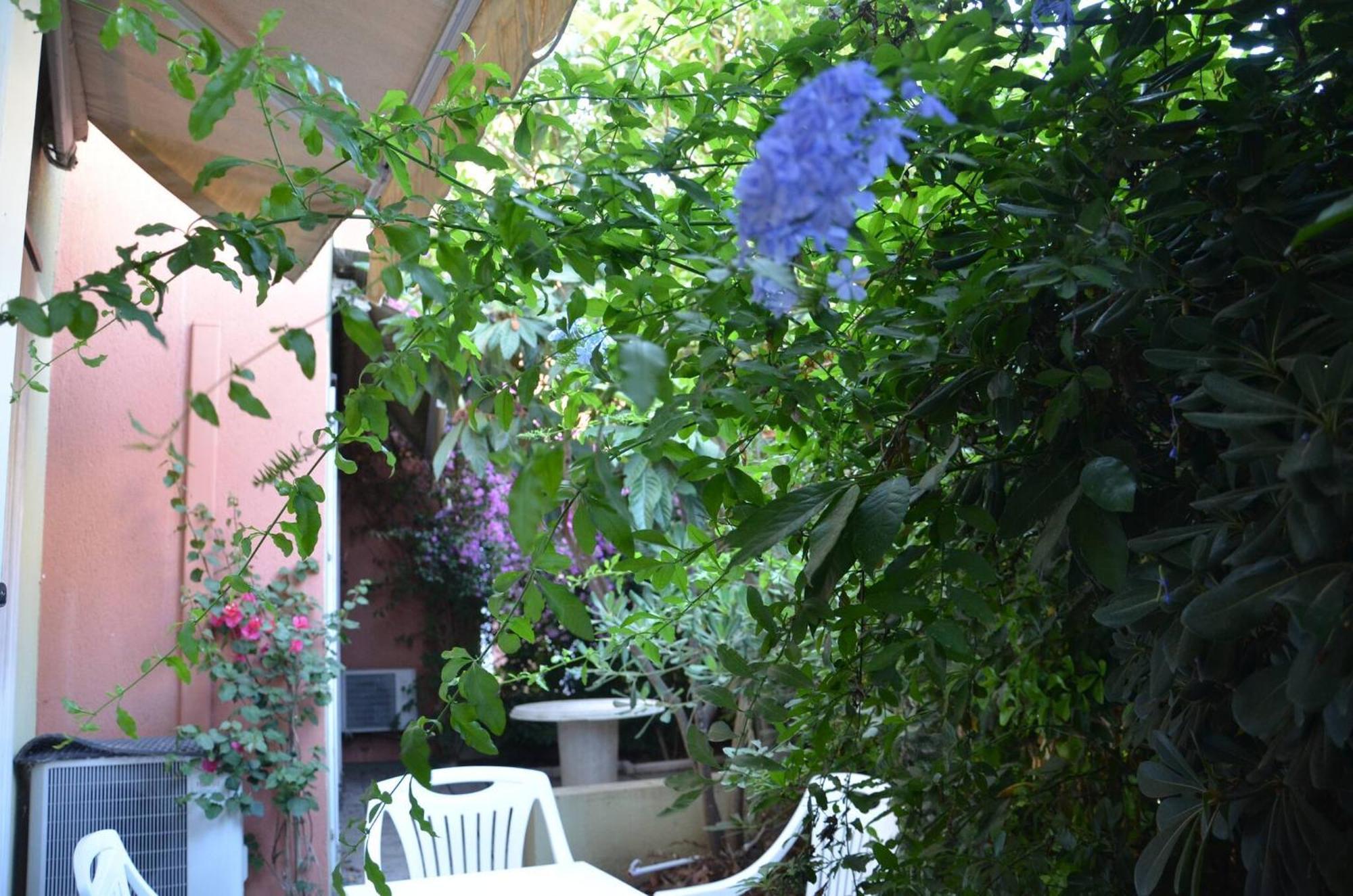 Fantastic Sardinia Villette Con Giardino Fronte Mare Fertilia Faho-Gav01-Gav02 Eksteriør billede