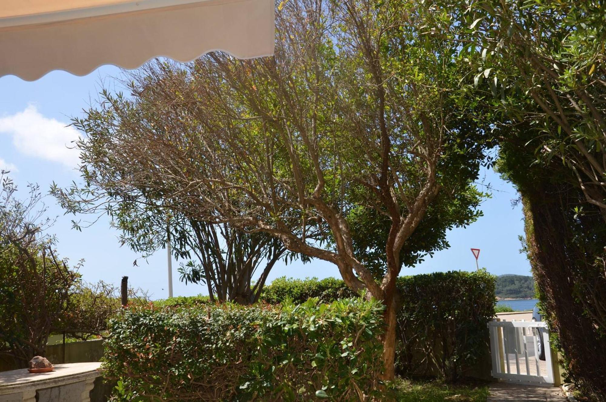 Fantastic Sardinia Villette Con Giardino Fronte Mare Fertilia Faho-Gav01-Gav02 Eksteriør billede