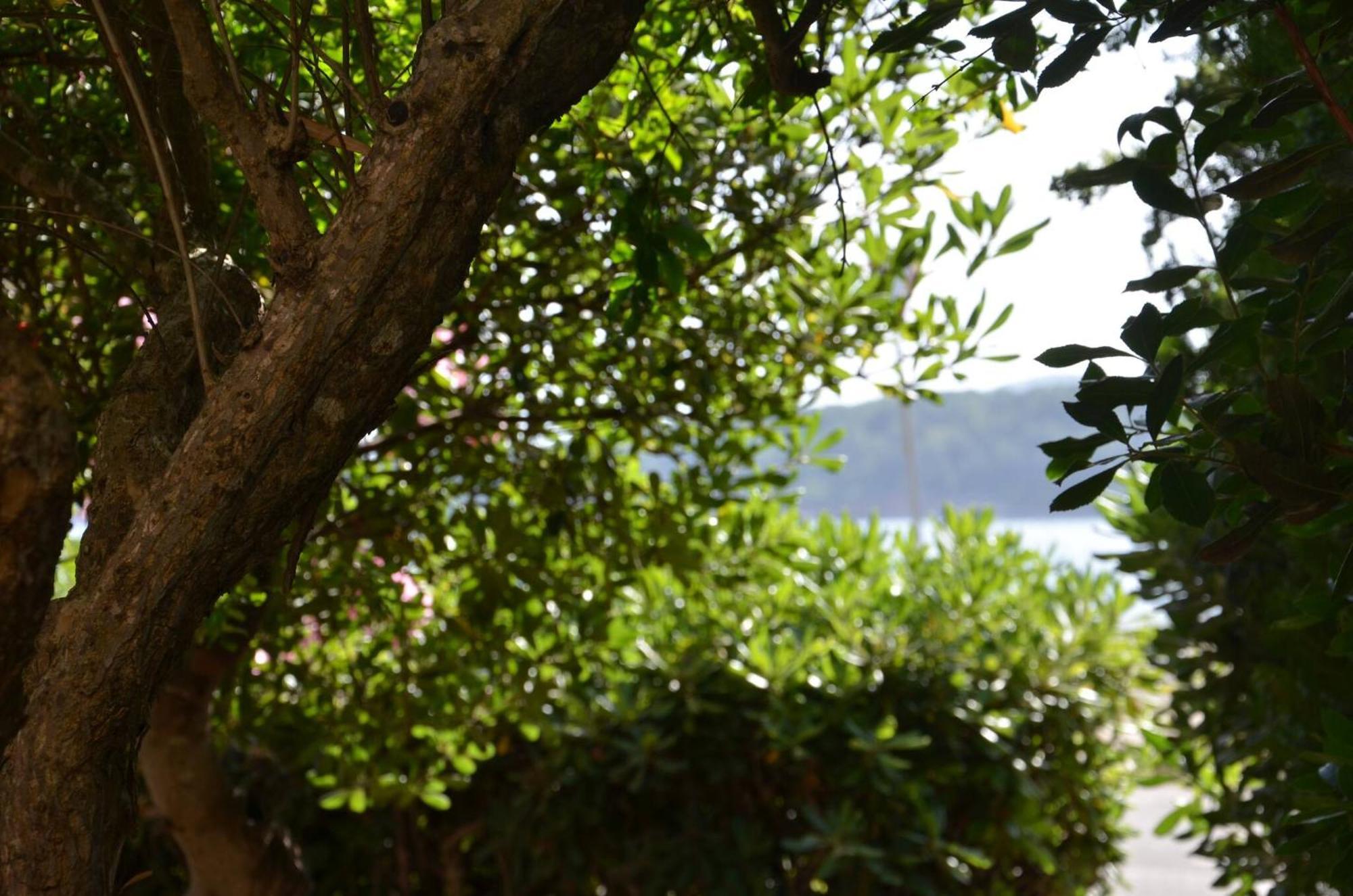 Fantastic Sardinia Villette Con Giardino Fronte Mare Fertilia Faho-Gav01-Gav02 Eksteriør billede