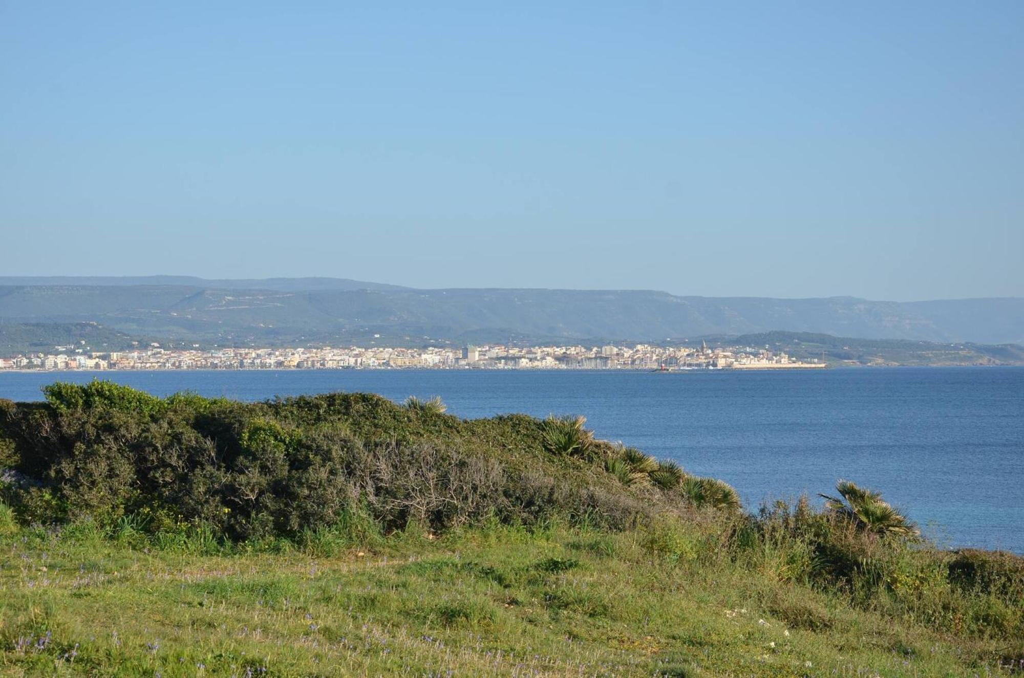 Fantastic Sardinia Villette Con Giardino Fronte Mare Fertilia Faho-Gav01-Gav02 Eksteriør billede