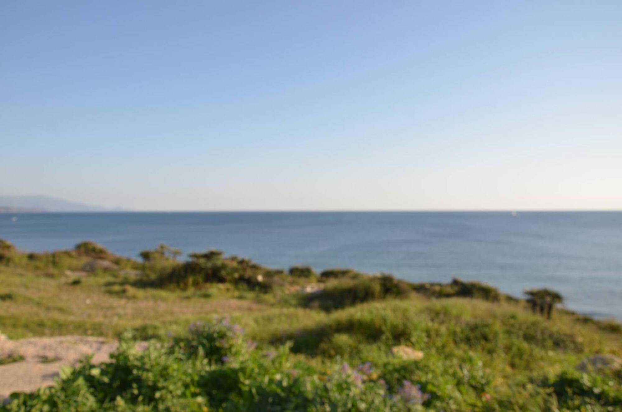 Fantastic Sardinia Villette Con Giardino Fronte Mare Fertilia Faho-Gav01-Gav02 Eksteriør billede