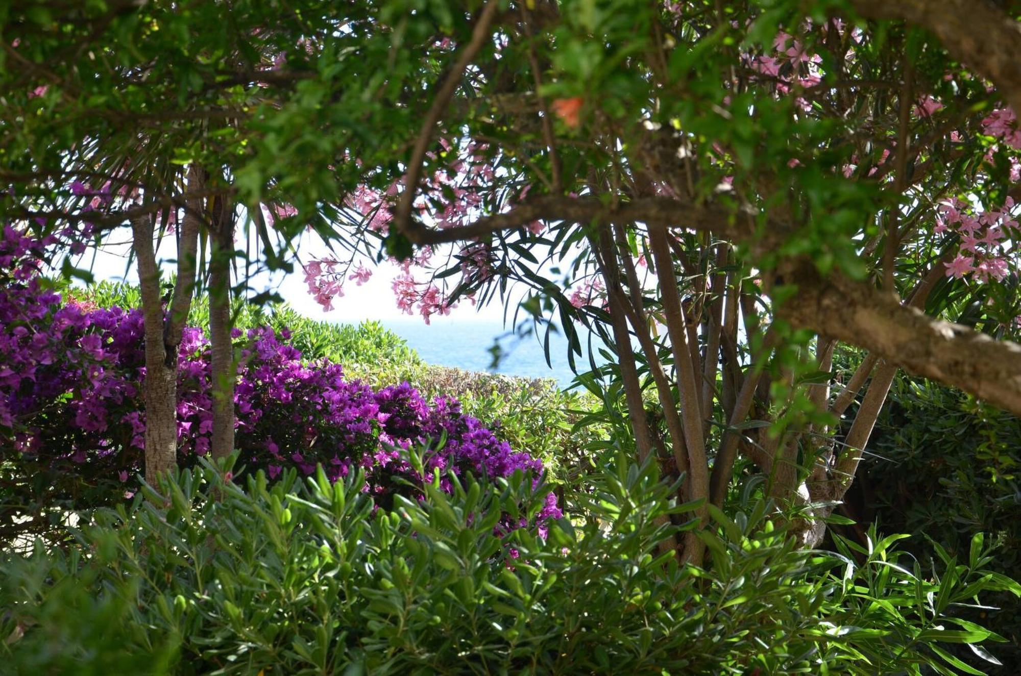 Fantastic Sardinia Villette Con Giardino Fronte Mare Fertilia Faho-Gav01-Gav02 Eksteriør billede