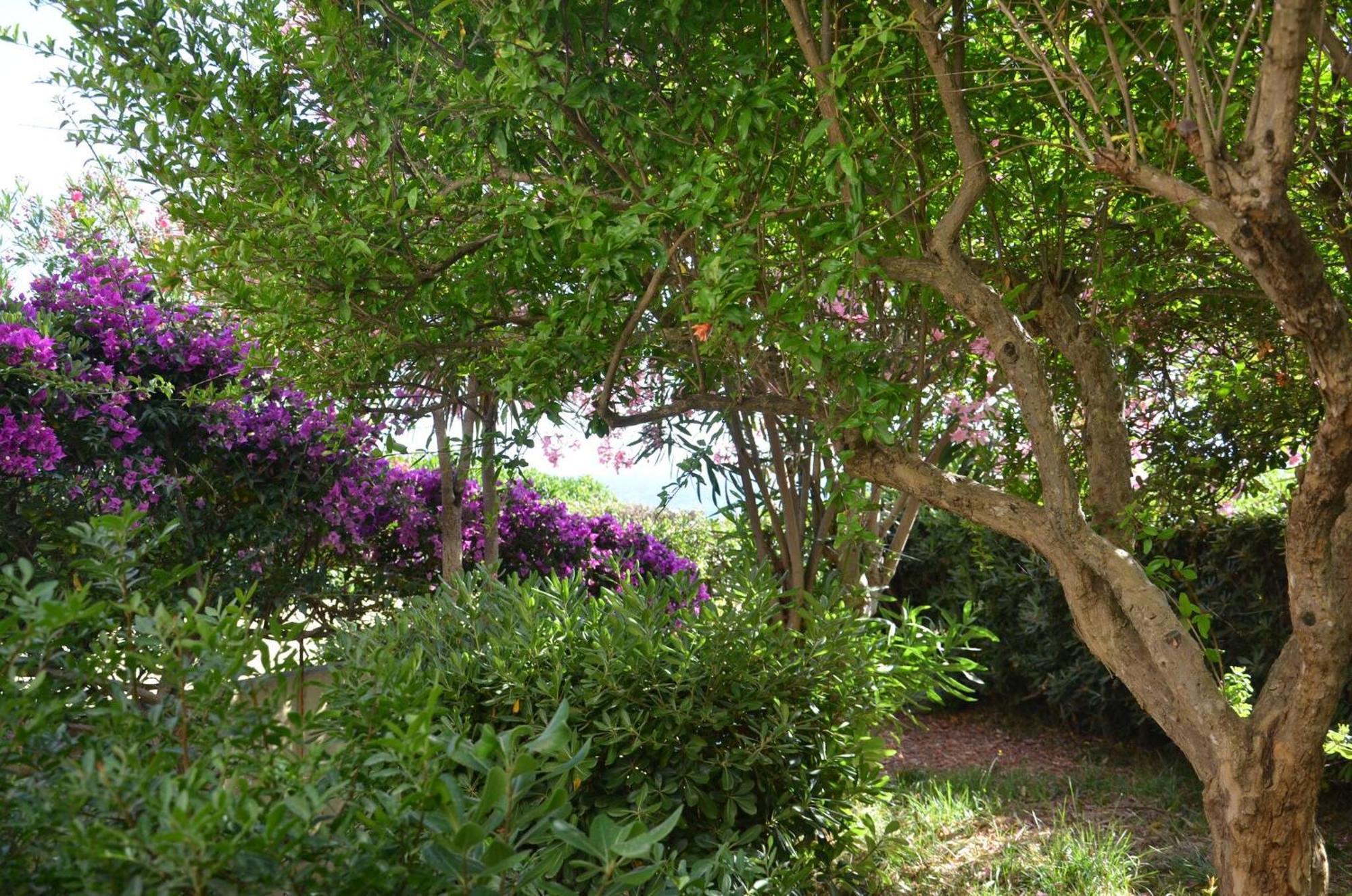 Fantastic Sardinia Villette Con Giardino Fronte Mare Fertilia Faho-Gav01-Gav02 Eksteriør billede