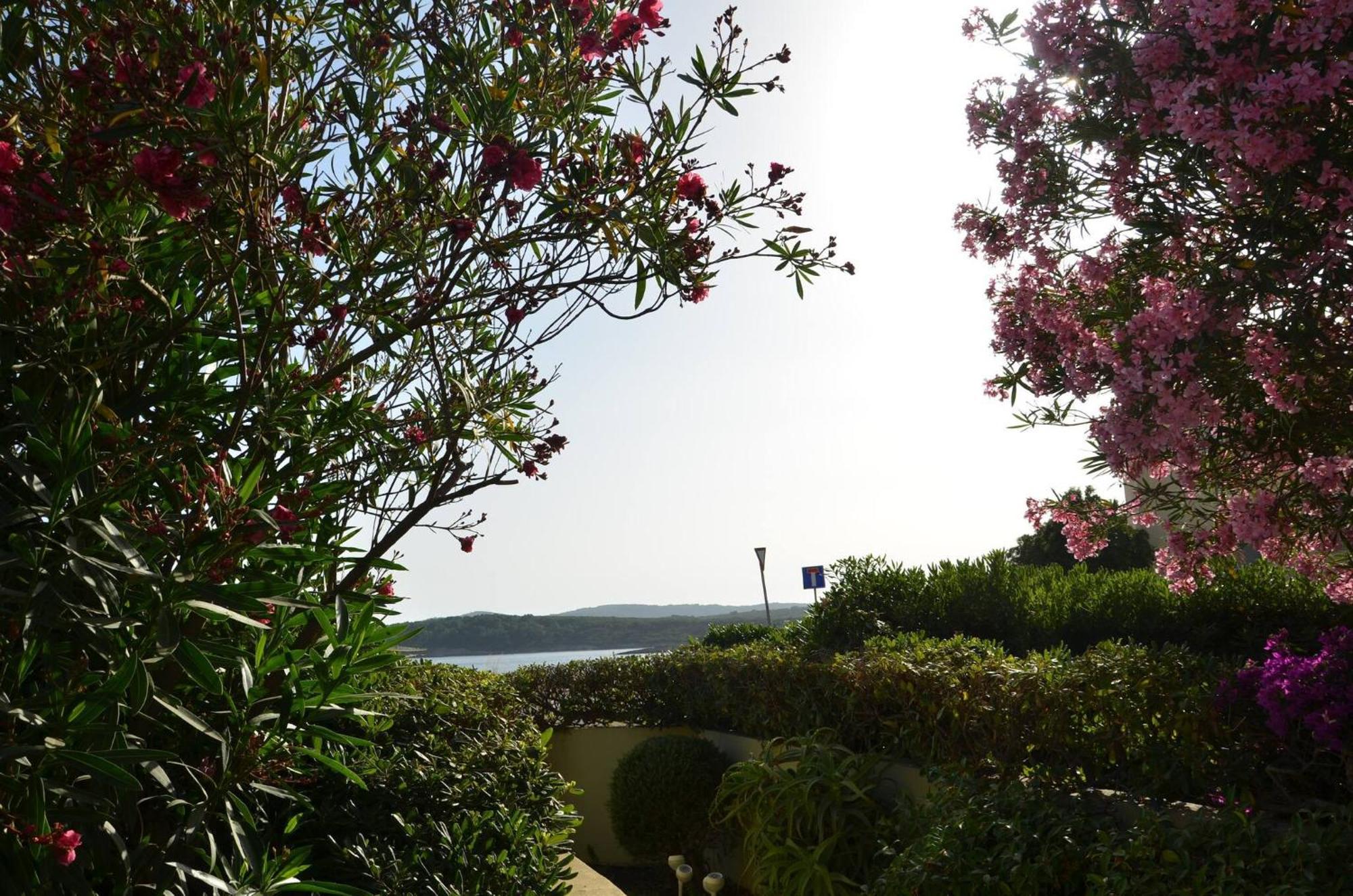 Fantastic Sardinia Villette Con Giardino Fronte Mare Fertilia Faho-Gav01-Gav02 Eksteriør billede