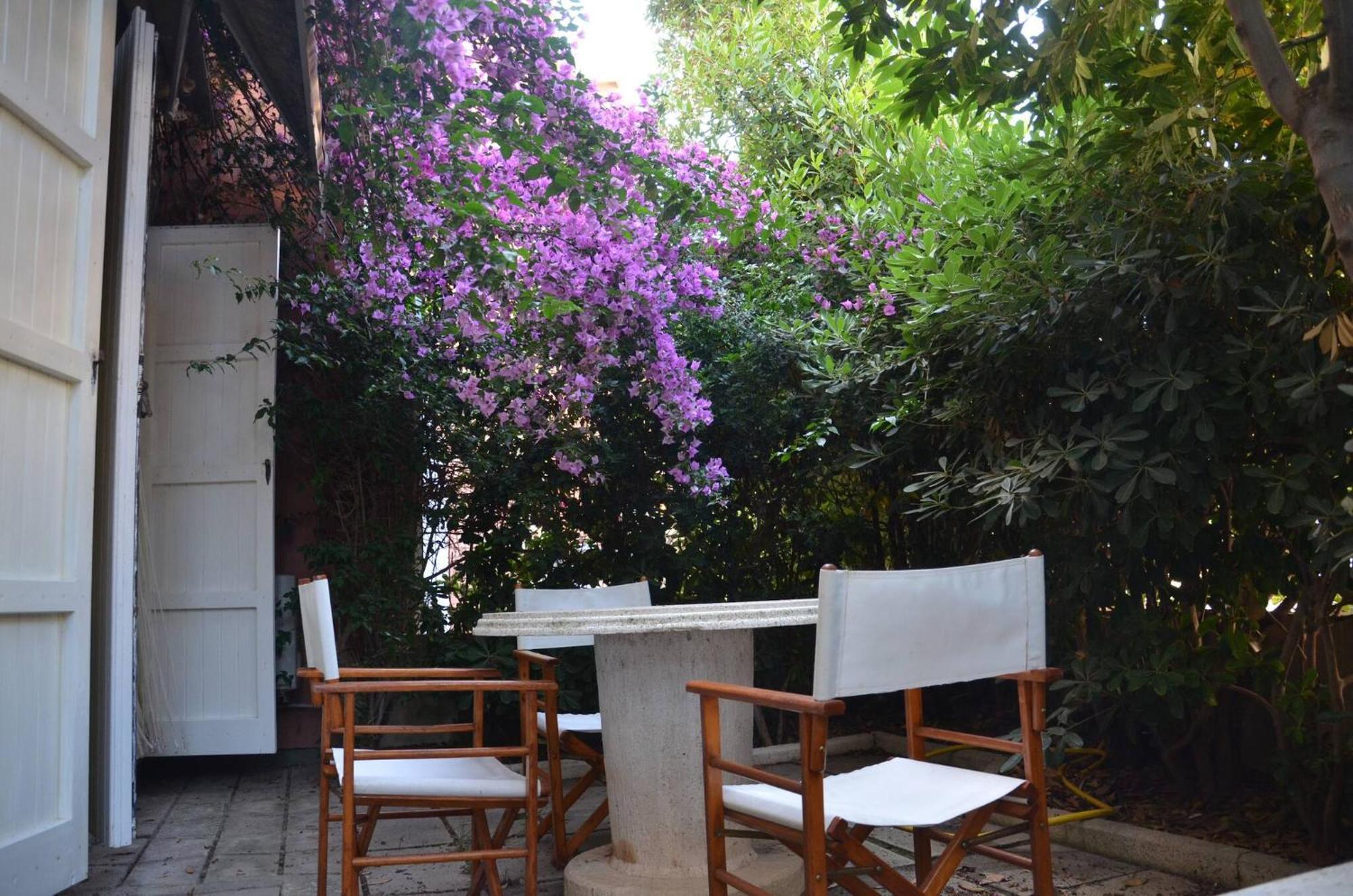 Fantastic Sardinia Villette Con Giardino Fronte Mare Fertilia Faho-Gav01-Gav02 Eksteriør billede