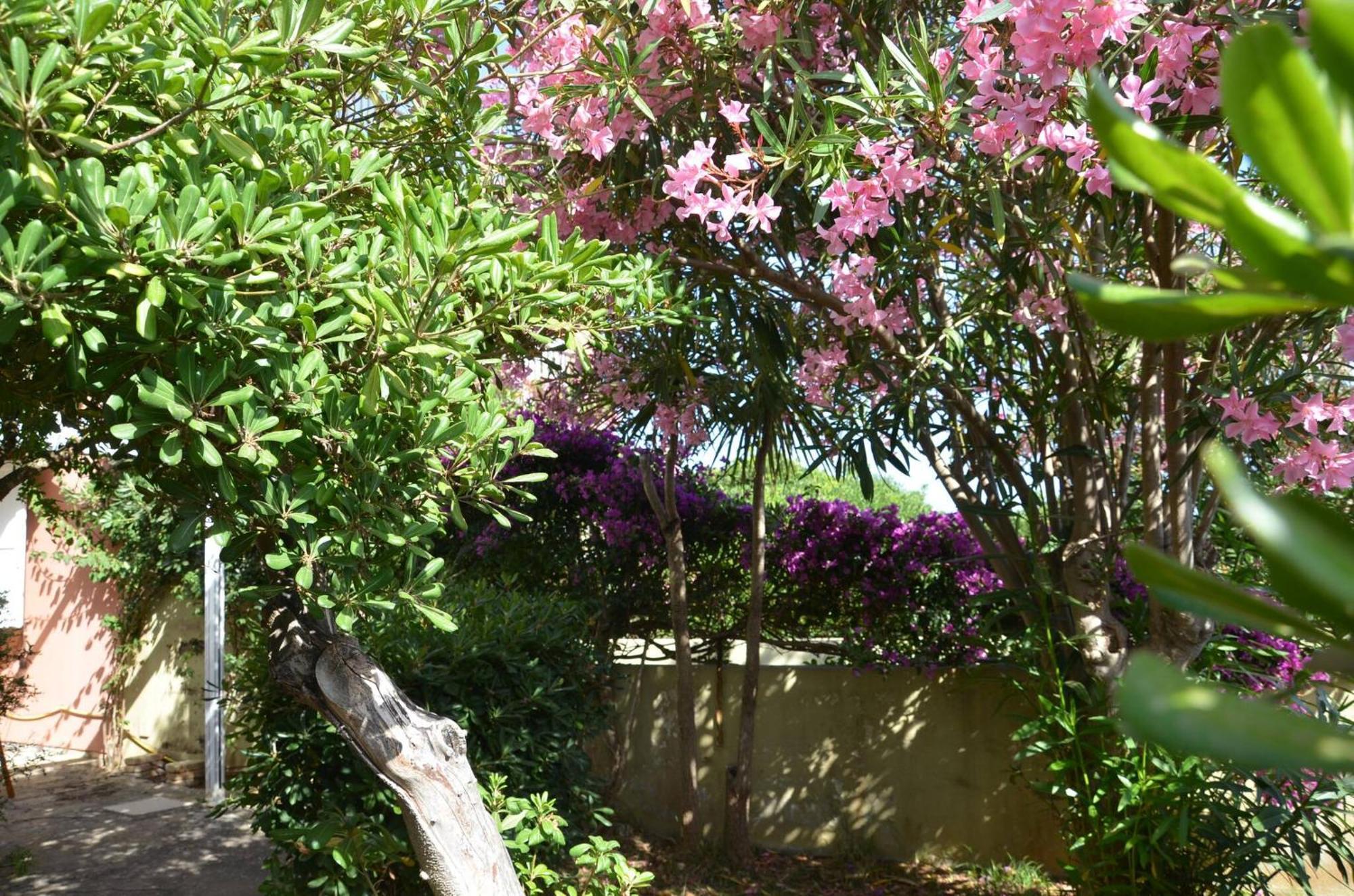 Fantastic Sardinia Villette Con Giardino Fronte Mare Fertilia Faho-Gav01-Gav02 Eksteriør billede