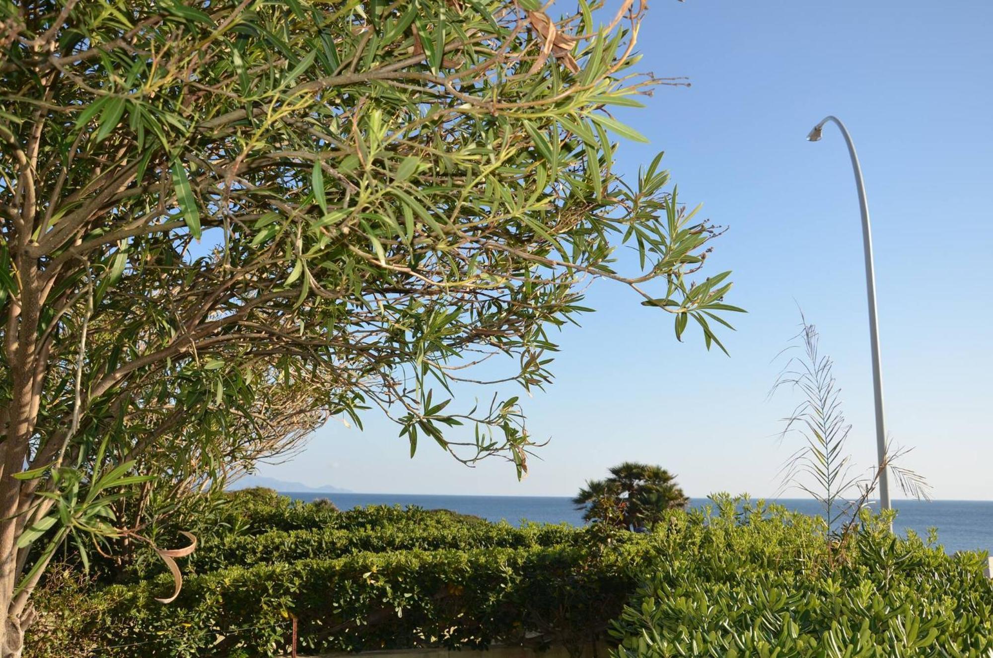 Fantastic Sardinia Villette Con Giardino Fronte Mare Fertilia Faho-Gav01-Gav02 Eksteriør billede
